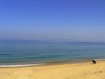 e018.jpg