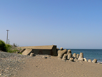 e019.jpg