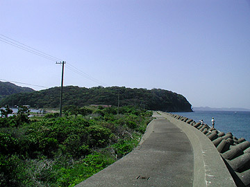 e036.jpg