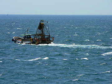 o015.jpg
