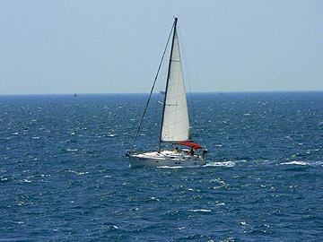 o016.jpg
