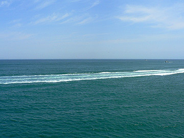 o017.jpg