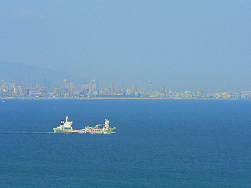 o019.jpg
