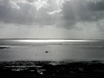 x012.jpg