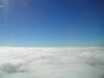 z019.jpg