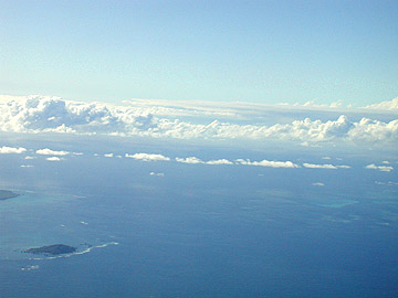 z020.jpg